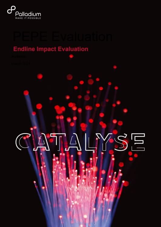 Endline Impact Evaluation